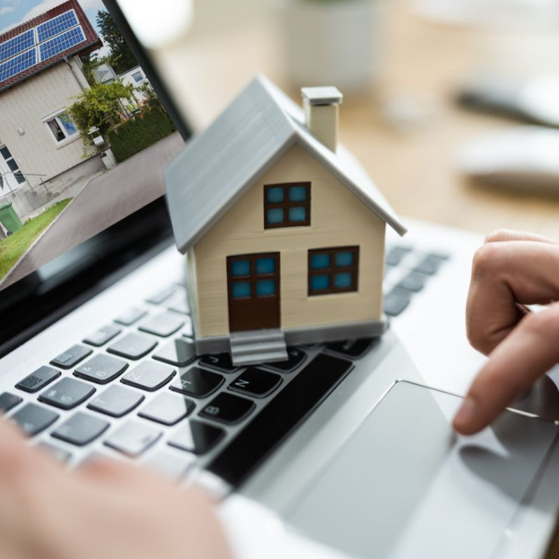 Maricarmen Cabrera | Market Insights & Negotiation